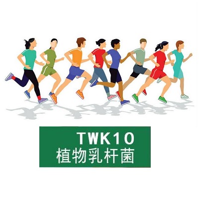 运动益生菌：植物乳杆菌TWK10®