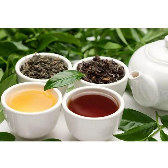 发酵茶