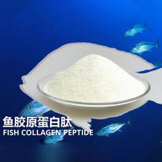 鱼胶原蛋白肽