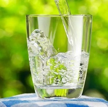 乳清发酵液