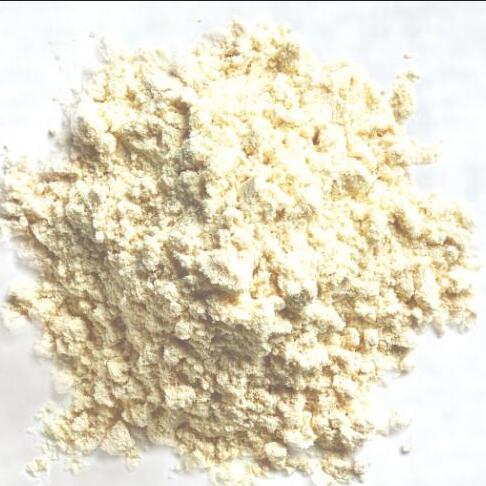 克菲尔风味发酵乳发酵粉